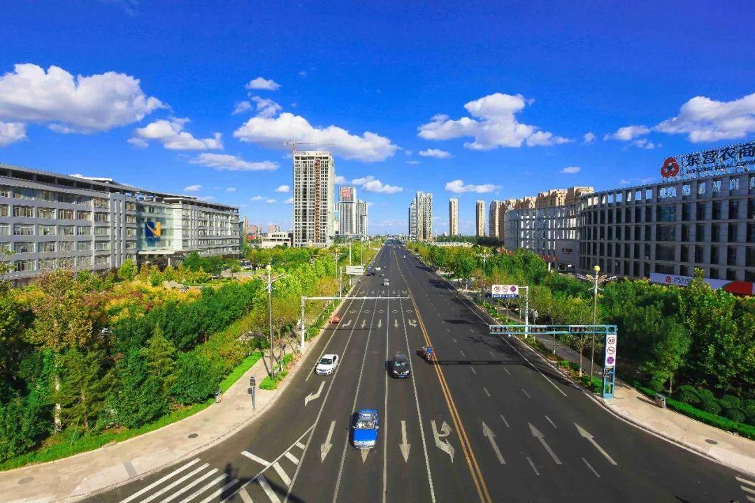 东营市“双招双引”，在经济“第一战场”跑出“加速度”